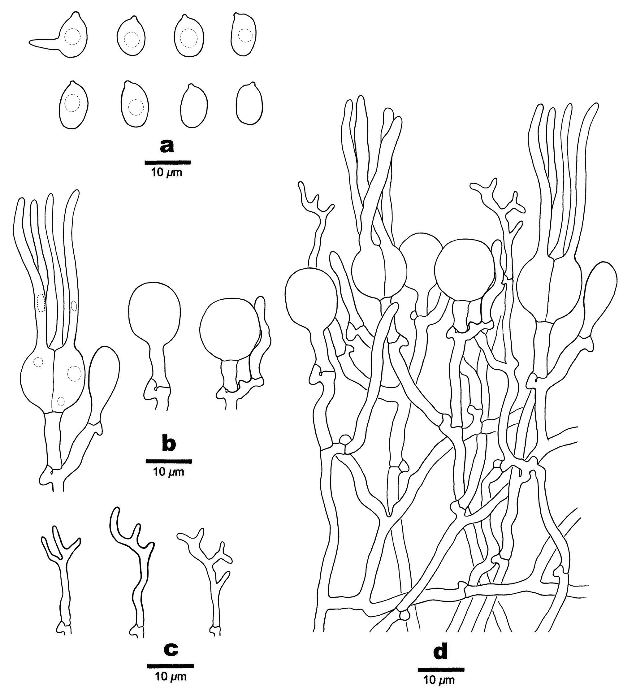Figure 39